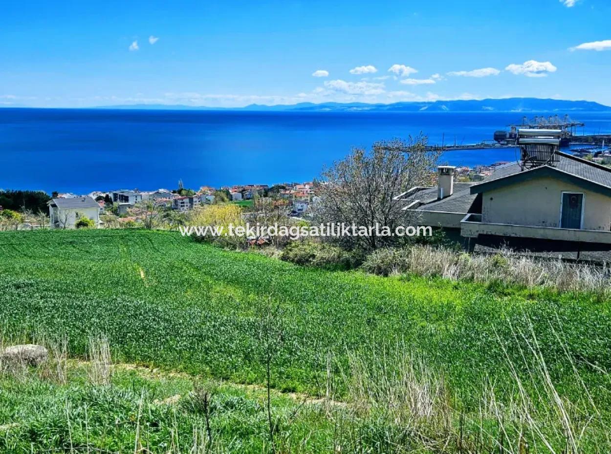 Full Deniz Ve Doğa Manzara Alt Yapı Hazır Lüxs 45 Dairelik Kooparetif Ve Site Yapmaya Uygun Kupon Arazi