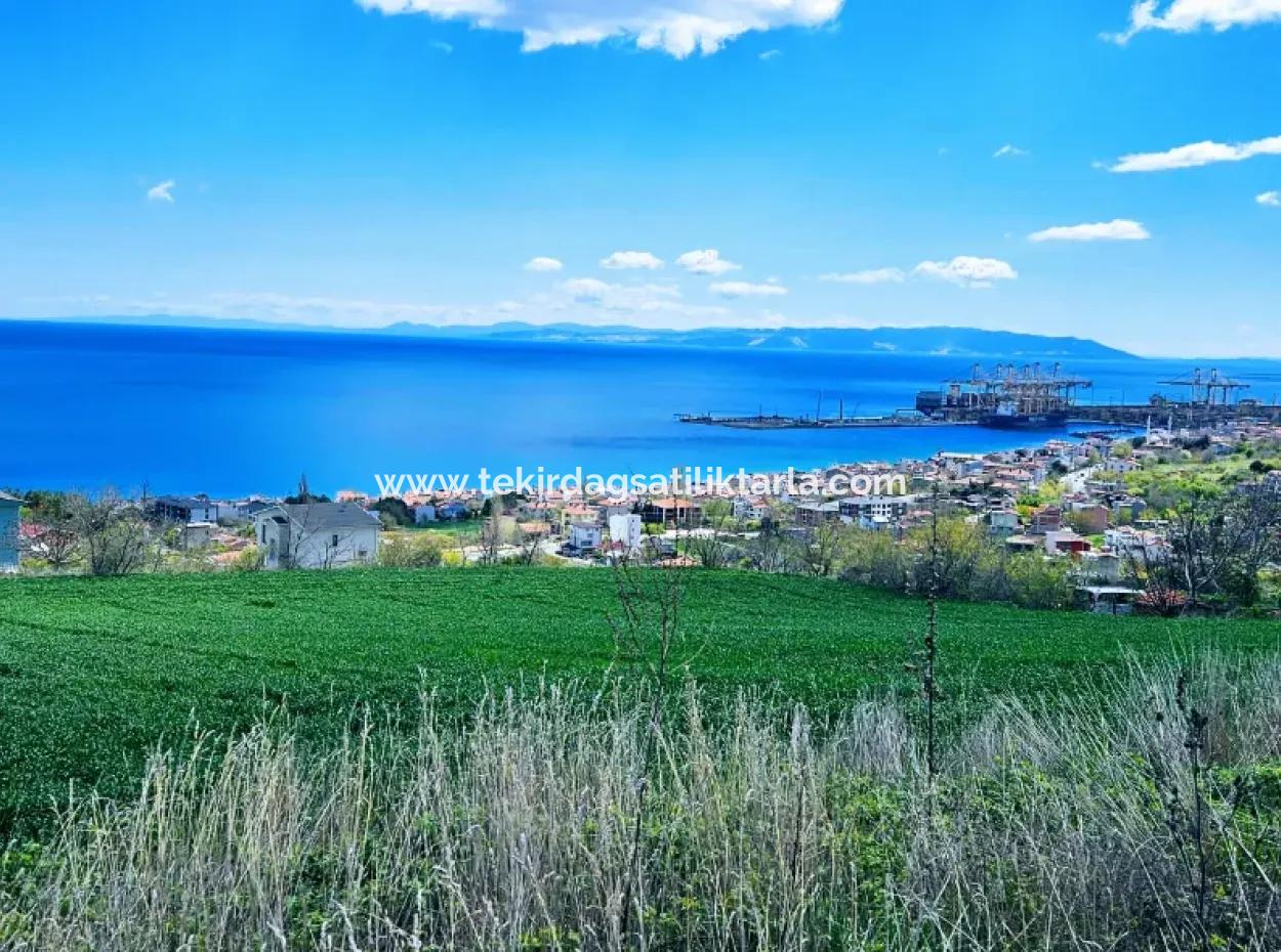 Full Deniz Ve Doğa Manzara Alt Yapı Hazır Lüxs 45 Dairelik Kooparetif Ve Site Yapmaya Uygun Kupon Arazi