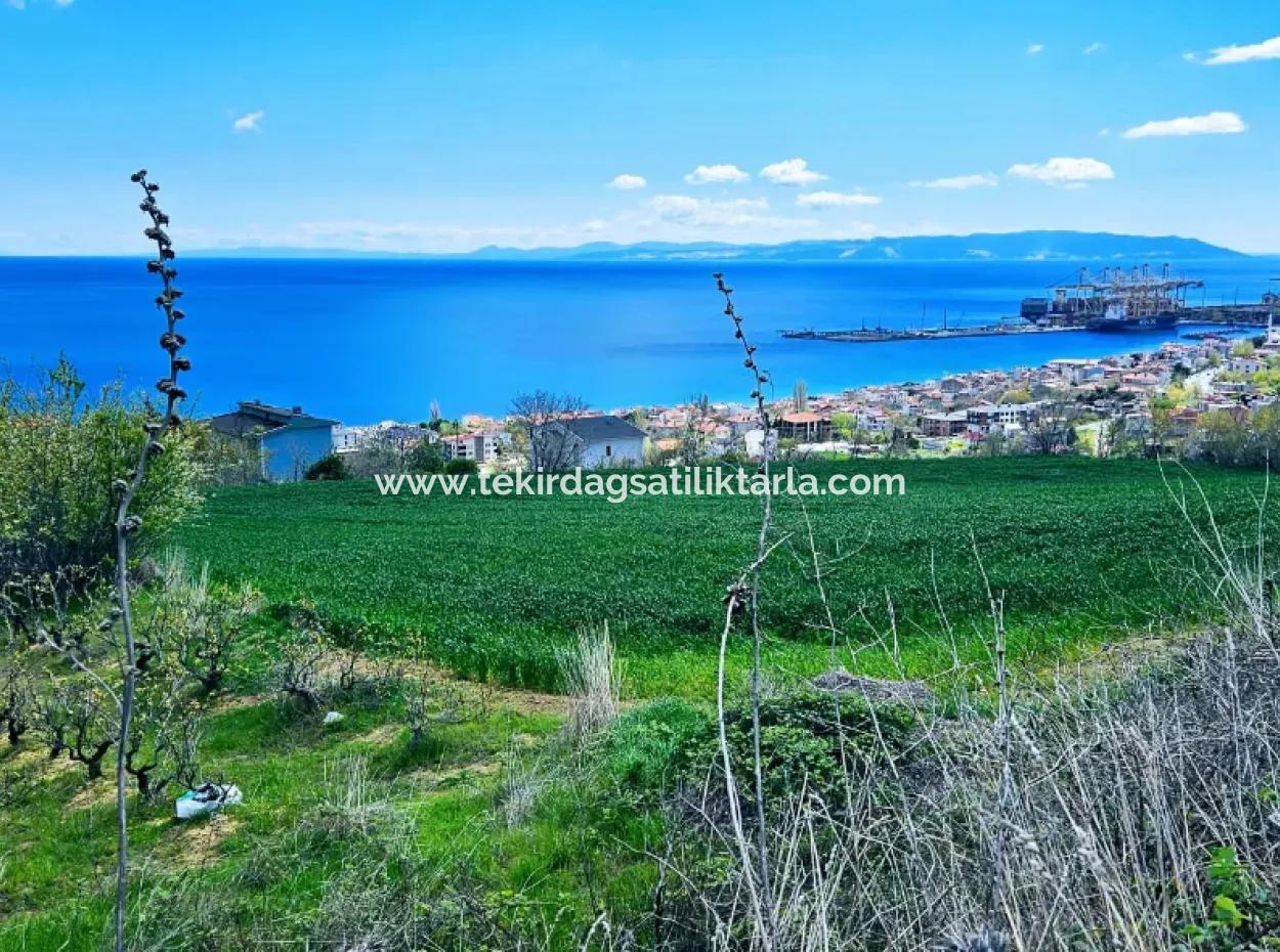 Full Deniz Ve Doğa Manzara Alt Yapı Hazır Lüxs 45 Dairelik Kooparetif Ve Site Yapmaya Uygun Kupon Arazi