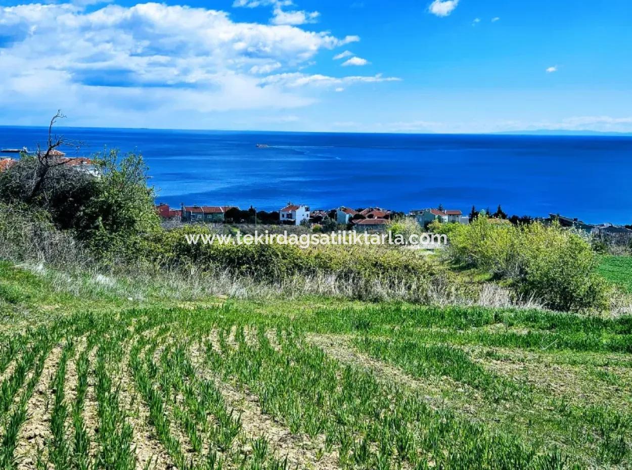 Full Deniz Ve Doğa Manzara Alt Yapı Hazır Lüxs 45 Dairelik Kooparetif Ve Site Yapmaya Uygun Kupon Arazi