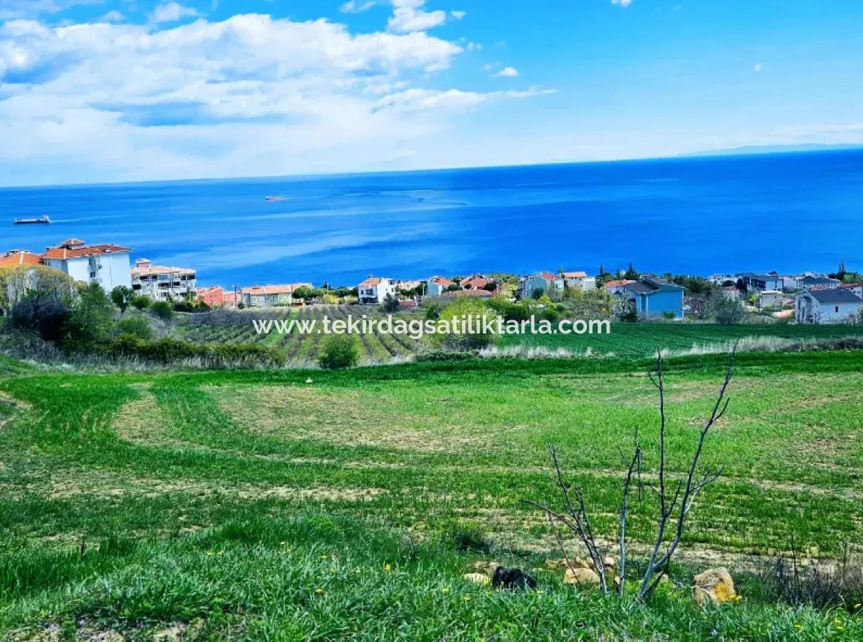 Full Deniz Ve Doğa Manzara Alt Yapı Hazır Lüxs 45 Dairelik Kooparetif Ve Site Yapmaya Uygun Kupon Arazi