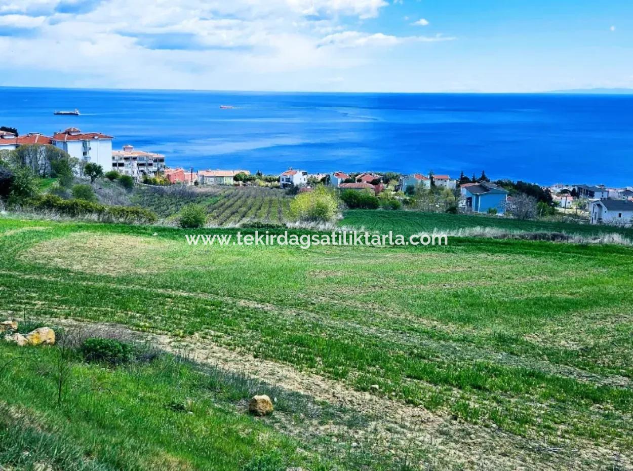 Full Deniz Ve Doğa Manzara Alt Yapı Hazır Lüxs 45 Dairelik Kooparetif Ve Site Yapmaya Uygun Kupon Arazi