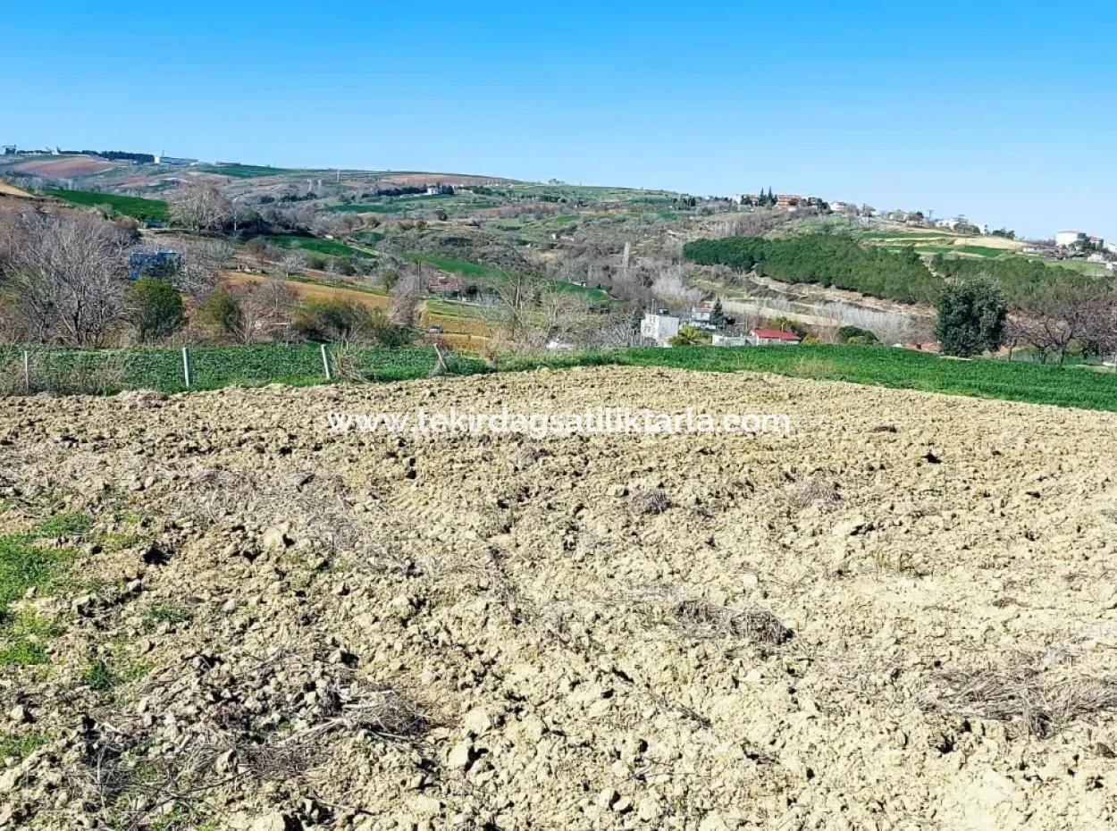Yatırım Fırsatı: Tekirdağ Barbaros Satılık 615 M2 Köşe Arsa - Acil Satılık, Deniz Ve Doğa Manzaralı, %30 İmarlı