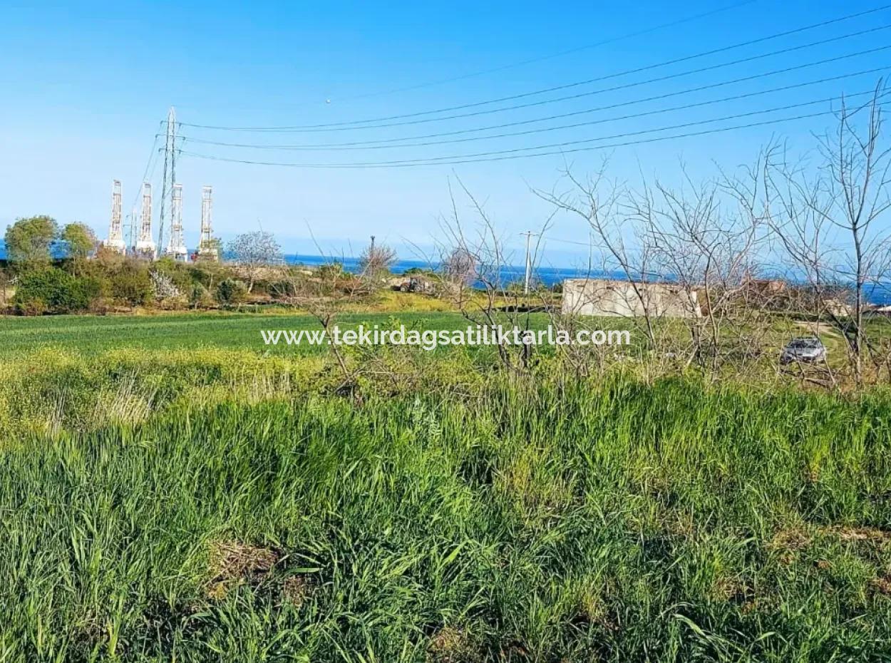 Yatırım Fırsatı: Tekirdağ Barbaros Satılık 615 M2 Köşe Arsa - Acil Satılık, Deniz Ve Doğa Manzaralı, %30 İmarlı