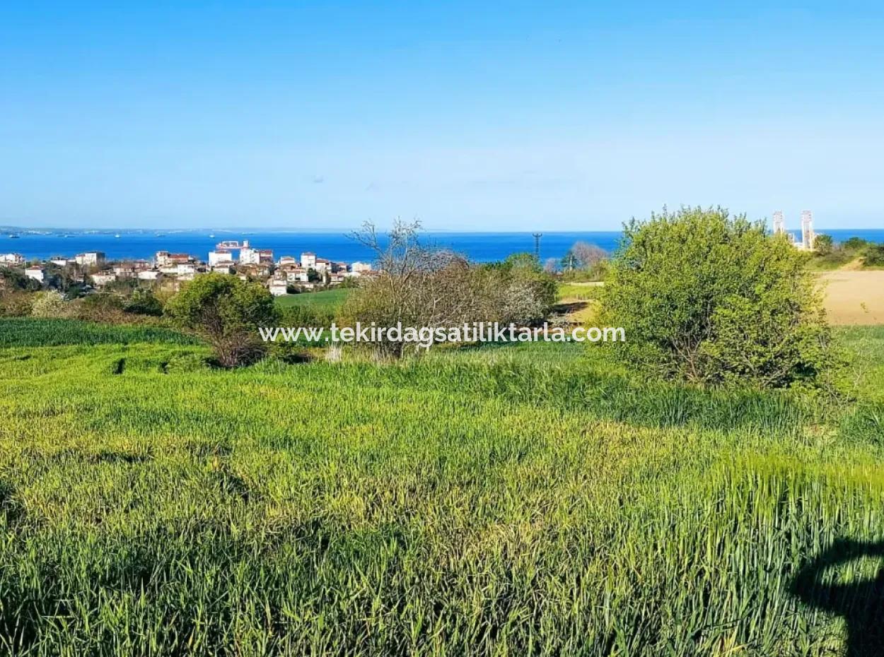 Yatırım Fırsatı: Tekirdağ Barbaros Satılık 615 M2 Köşe Arsa - Acil Satılık, Deniz Ve Doğa Manzaralı, %30 İmarlı