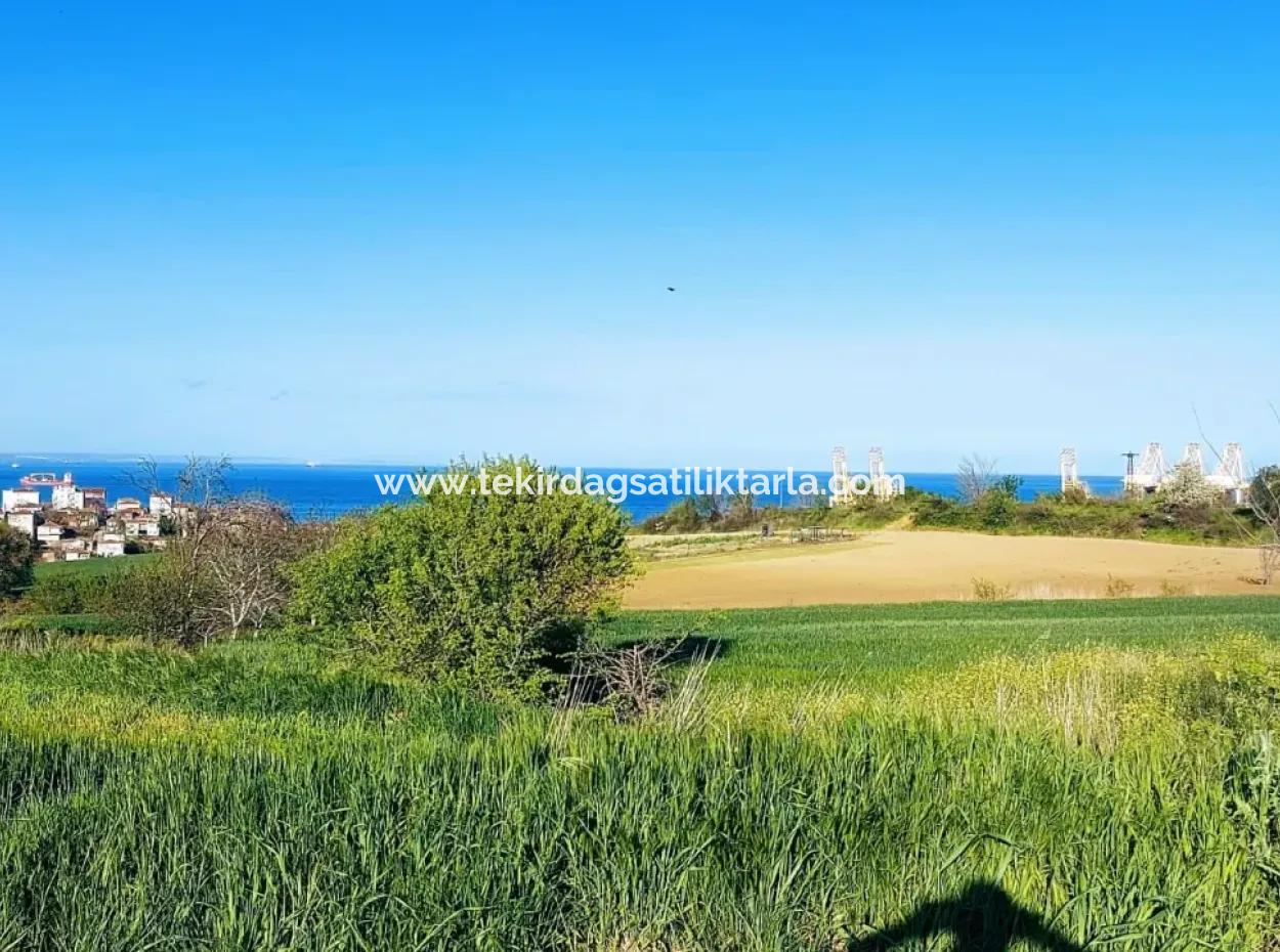 Yatırım Fırsatı: Tekirdağ Barbaros Satılık 615 M2 Köşe Arsa - Acil Satılık, Deniz Ve Doğa Manzaralı, %30 İmarlı