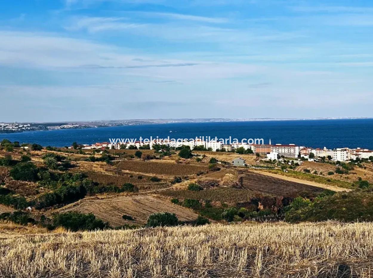 Tekirdağ Süleymanpaşa Barbaros - Topağaç'ta Ramada Hotel'e Yakın 1.150 Metrekarelik Arsa