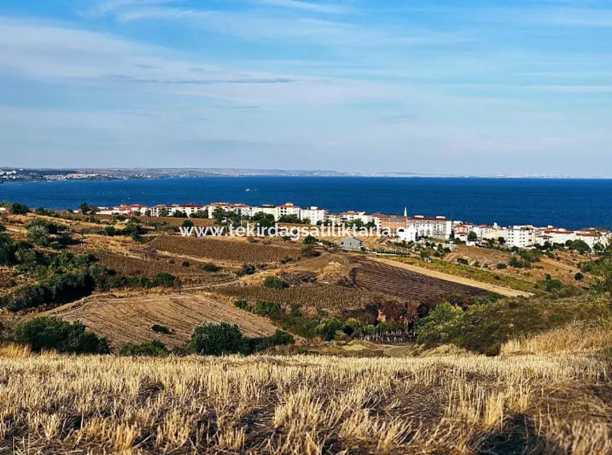 Tekirdağ Süleymanpaşa Barbaros - Topağaç'ta Ramada Hotel'e Yakın 1.150 Metrekarelik Arsa