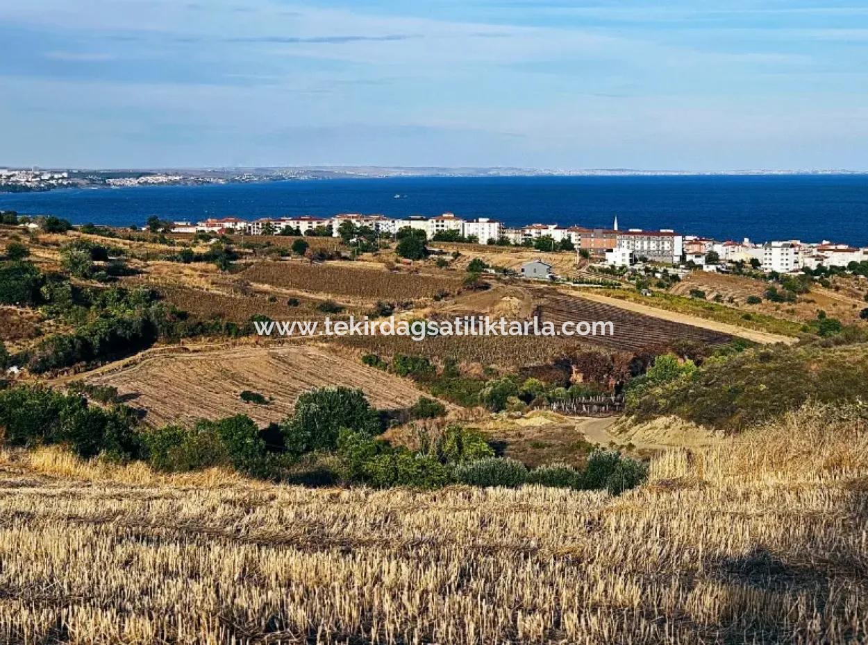 Tekirdağ Süleymanpaşa Barbaros - Topağaç'ta Ramada Hotel'e Yakın 1.150 Metrekarelik Arsa