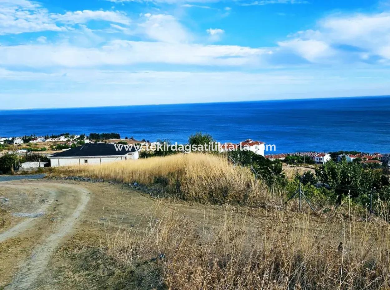 Tekirdağ Barbarosta Harika Deniz Manzaralı Müstakil Evinizi Yapmaya Uygun Acil Satılık Kupon Arsa