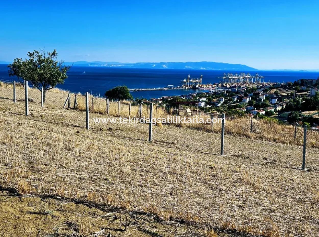 Acil Satılık Full Deniz Manzaralı Takas + Nakit 765 M2 Fırsat Kupon Arsa