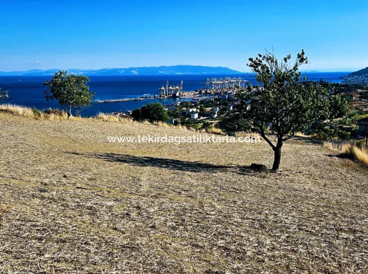 Acil Satılık Full Deniz Manzaralı Takas + Nakit 765 M2 Fırsat Kupon Arsa