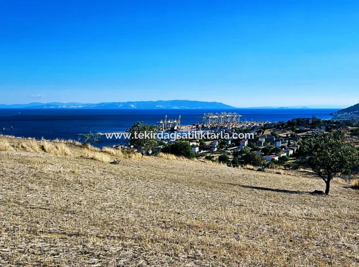 Acil Satılık Full Deniz Manzaralı Takas + Nakit 765 M2 Fırsat Kupon Arsa