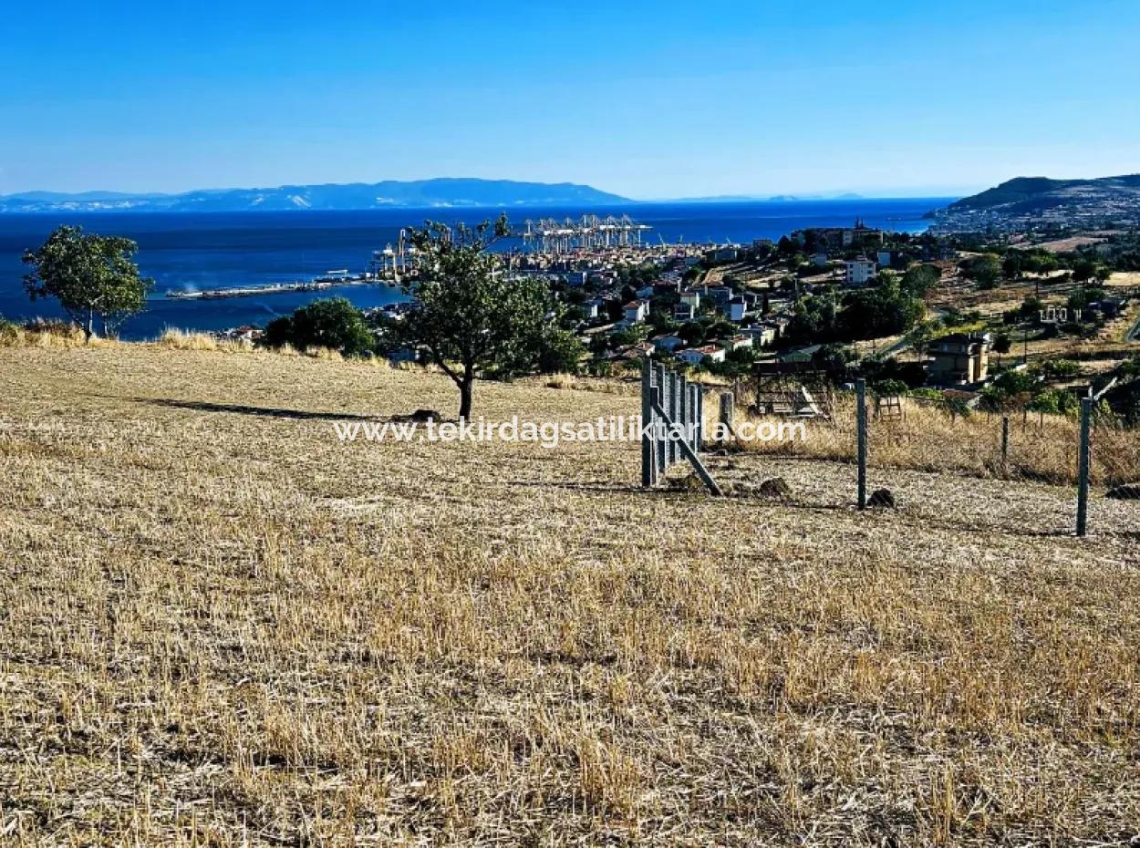 Acil Satılık Full Deniz Manzaralı Takas + Nakit 765 M2 Fırsat Kupon Arsa