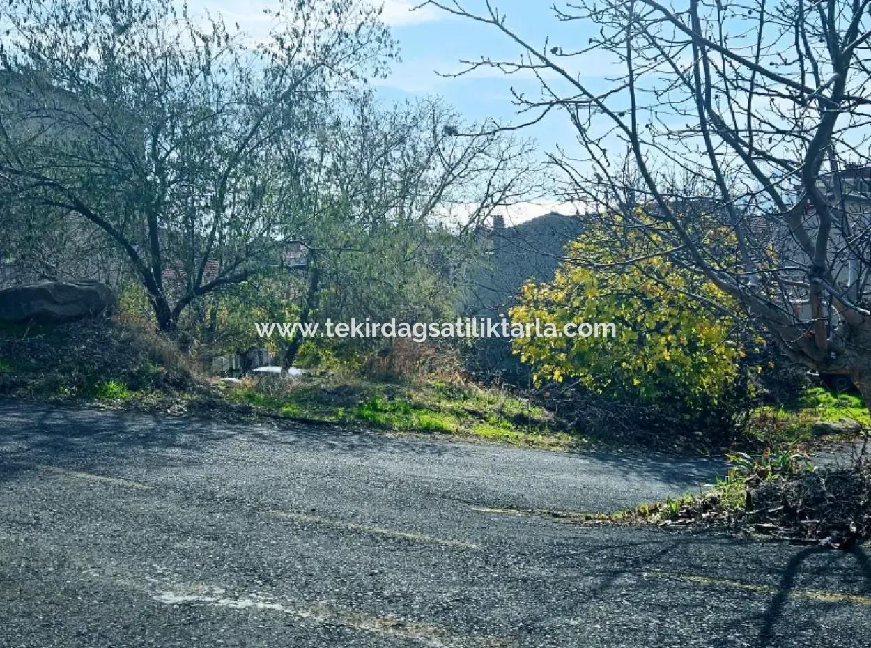 Acil Satılık 2 Adet Arsa 2 Adet Müstakil Ev Yapmaya Uygun Fırsat Kupon Arsa