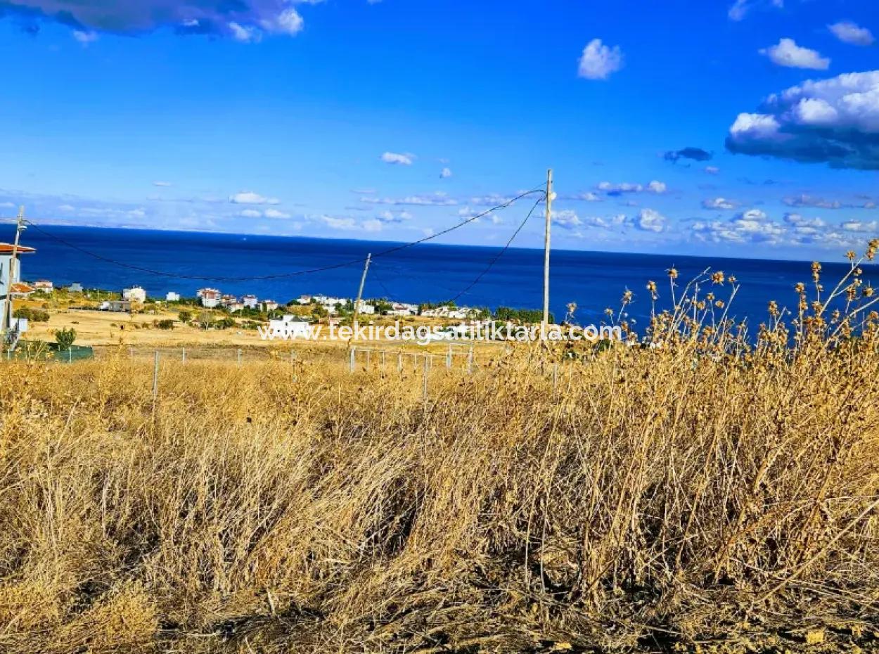 Acil Satılık Harika Deniz Manzaralı 6 Dairelik Fırsat Arsa