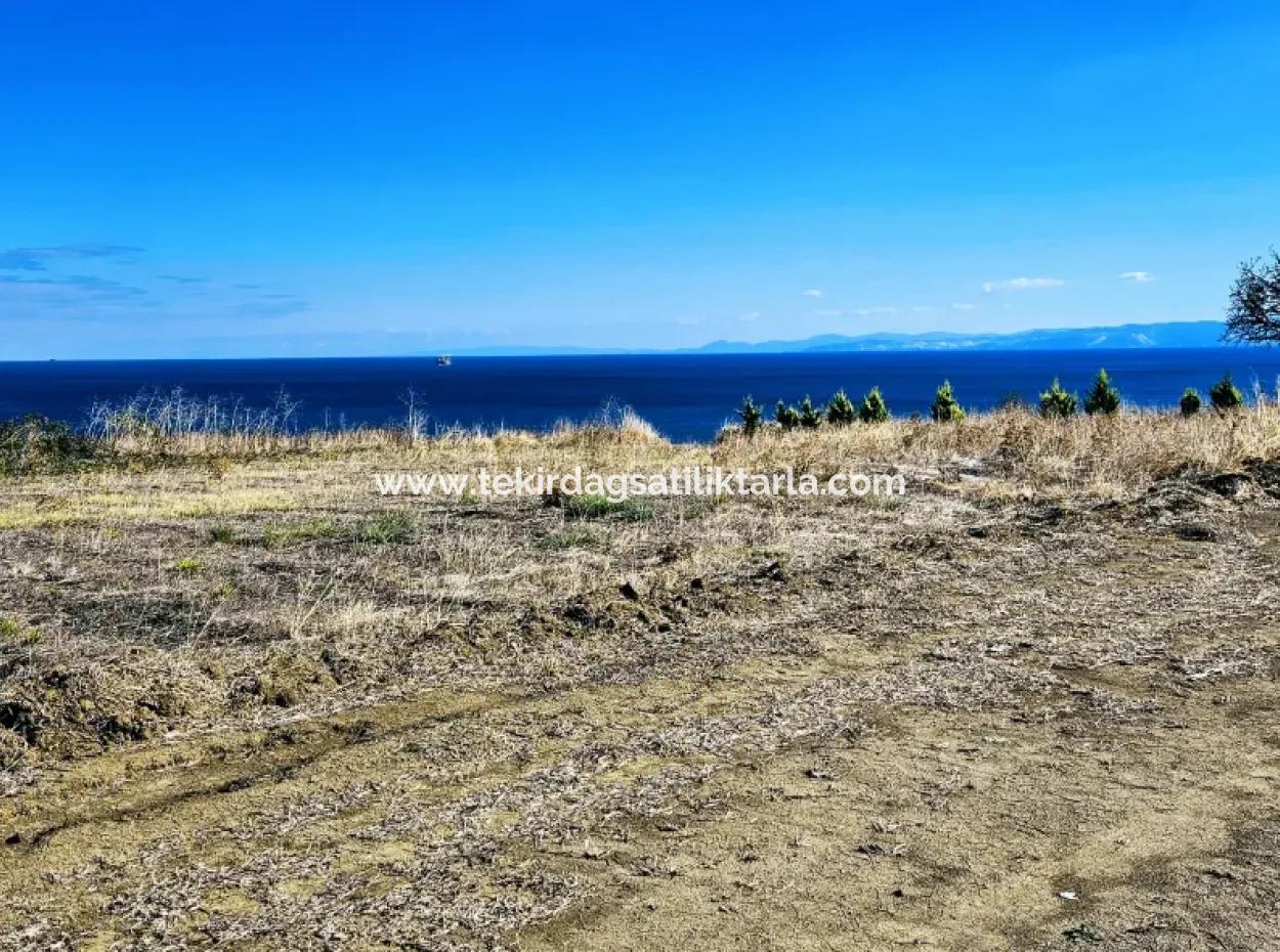 Tekirdağ Barbarosta Harika Konumda Denize Yakın Hayelinizseki Müstakil Ev Yapmaya Uygun Fırsat Arsa