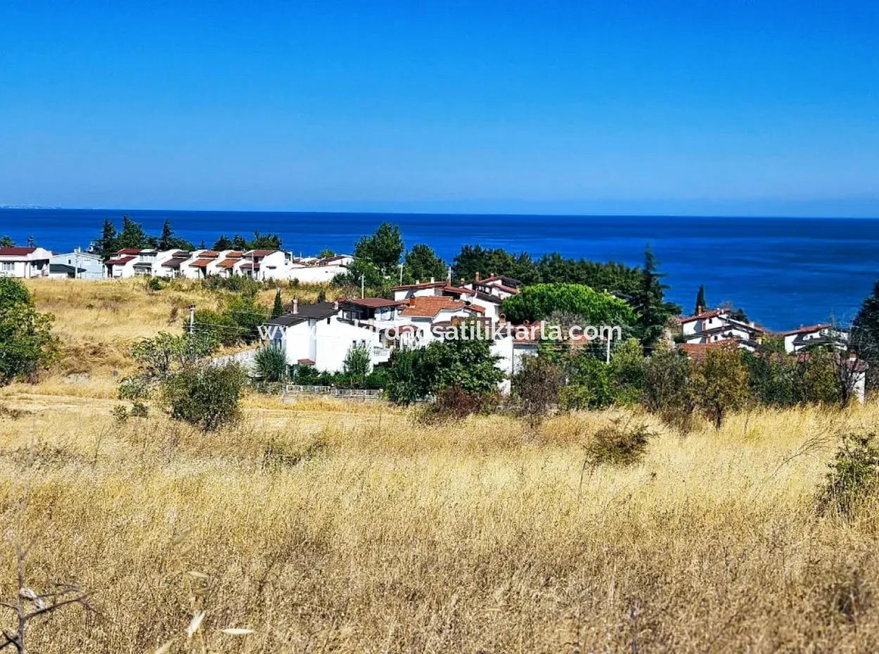 Tekirdağ Barbarosta Harika Konumda Denize Yakın Hayelinizseki Müstakil Ev Yapmaya Uygun Fırsat Arsa