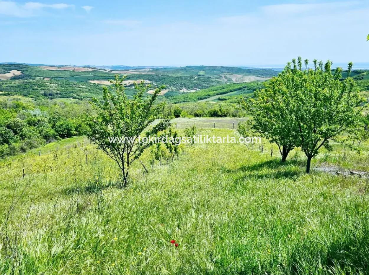 Acil Satılık Hayelinizdeki Çiftlği Kurmak İçin Harika Bir Fırsat 2.600 Dönüm Mera Cepheli