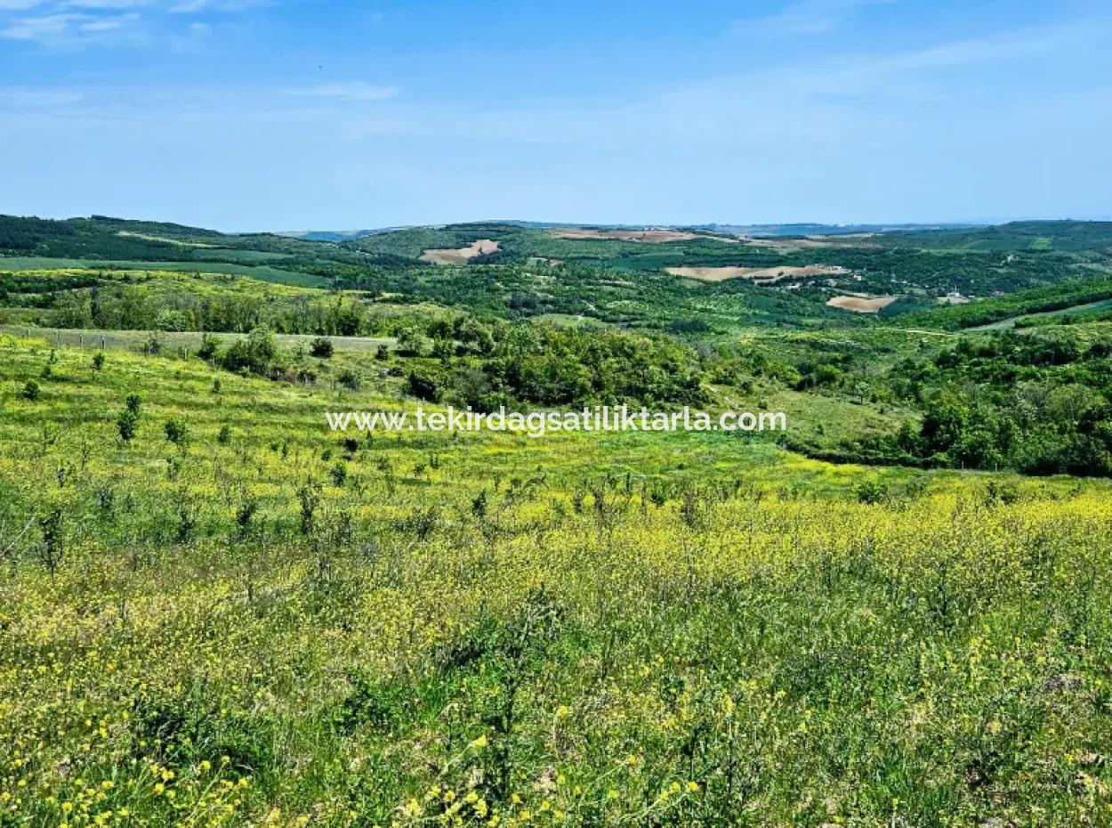 Acil Satılık Hayelinizdeki Çiftlği Kurmak İçin Harika Bir Fırsat 2.600 Dönüm Mera Cepheli