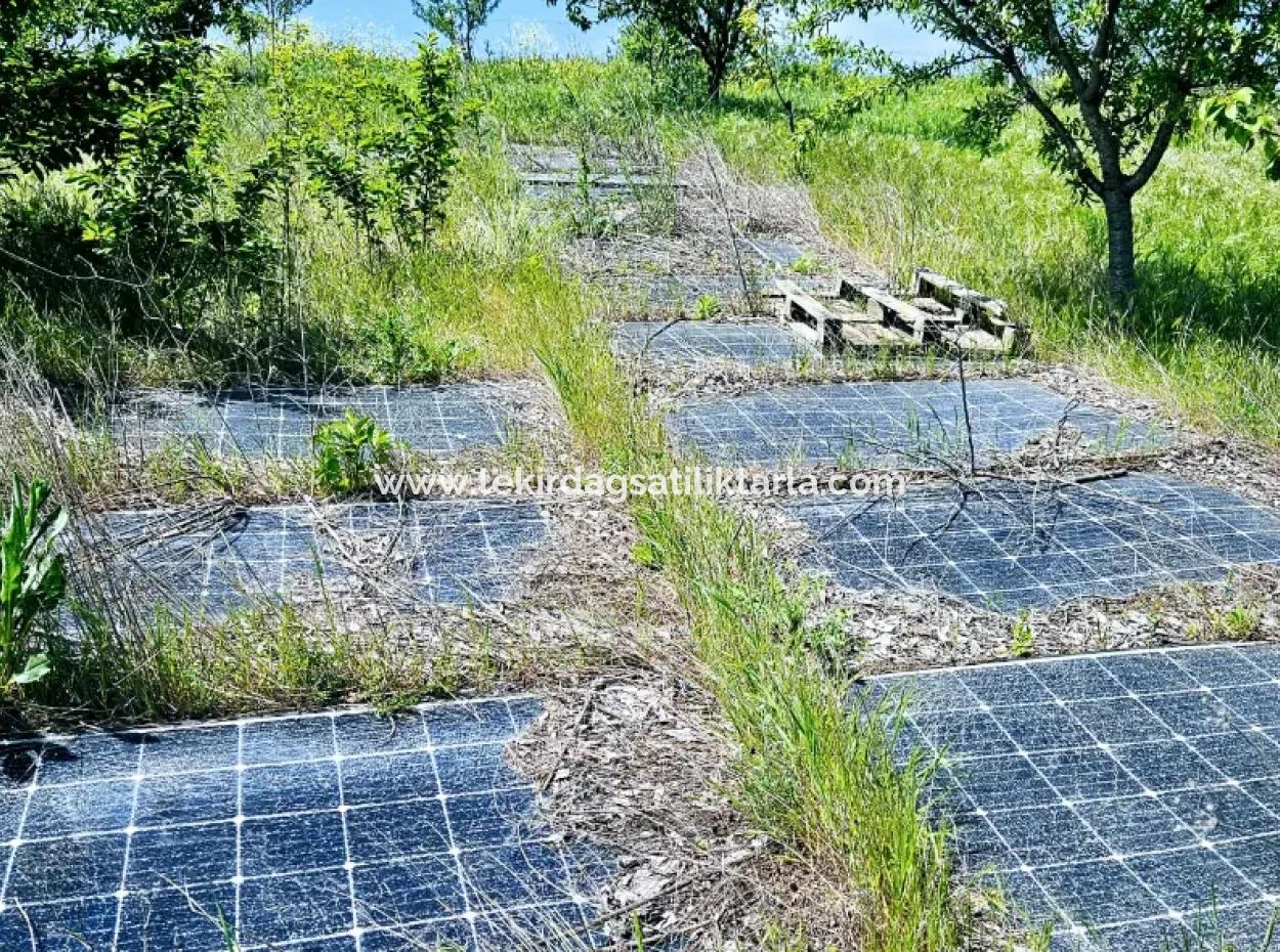 Acil Satılık Hayelinizdeki Çiftlği Kurmak İçin Harika Bir Fırsat 2.600 Dönüm Mera Cepheli