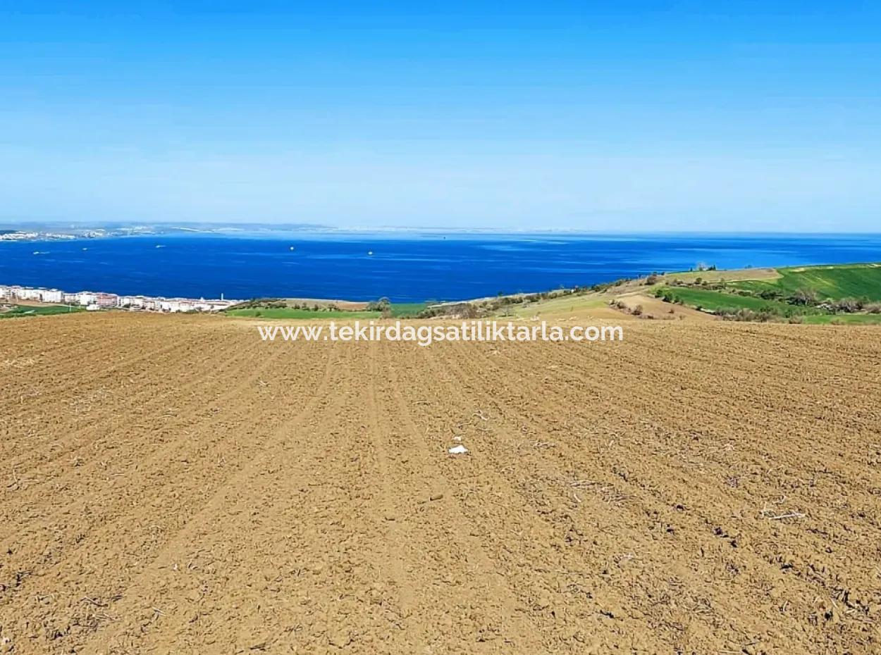 Tekirdağ Barbarosta Lüxs Villa Projeni Yap. Mütahitlere Kat Karşılığı Ver  Yüksek Kazanç Sağla Full Deniz Manzaralı Villa İmarlı Arazi