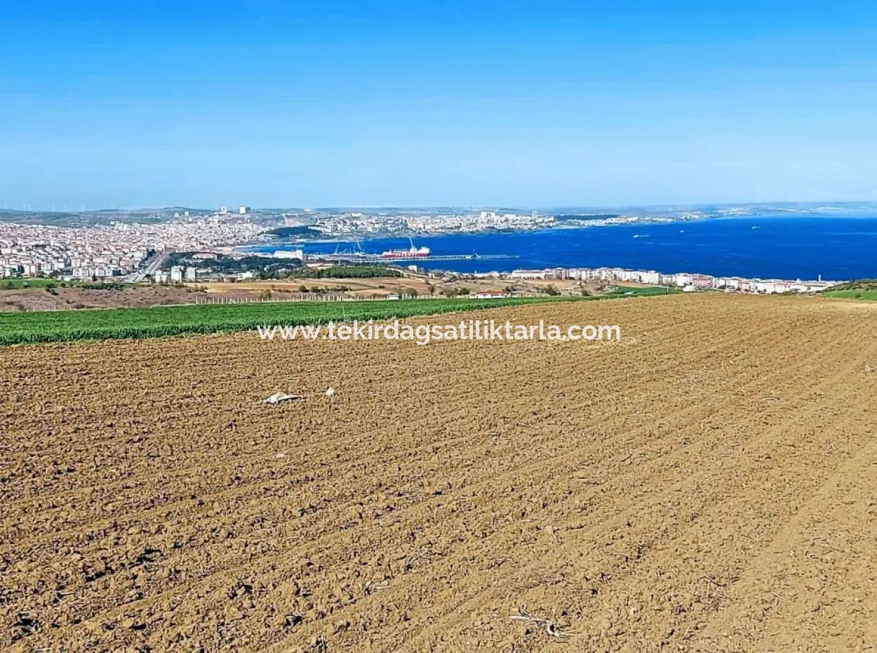 Tekirdağ Barbarosta Lüxs Villa Projeni Yap. Mütahitlere Kat Karşılığı Ver  Yüksek Kazanç Sağla Full Deniz Manzaralı Villa İmarlı Arazi