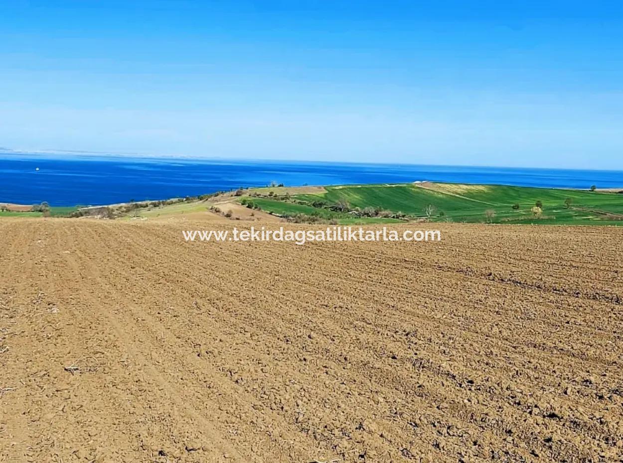 Tekirdağ Barbarosta Lüxs Villa Projeni Yap. Mütahitlere Kat Karşılığı Ver  Yüksek Kazanç Sağla Full Deniz Manzaralı Villa İmarlı Arazi