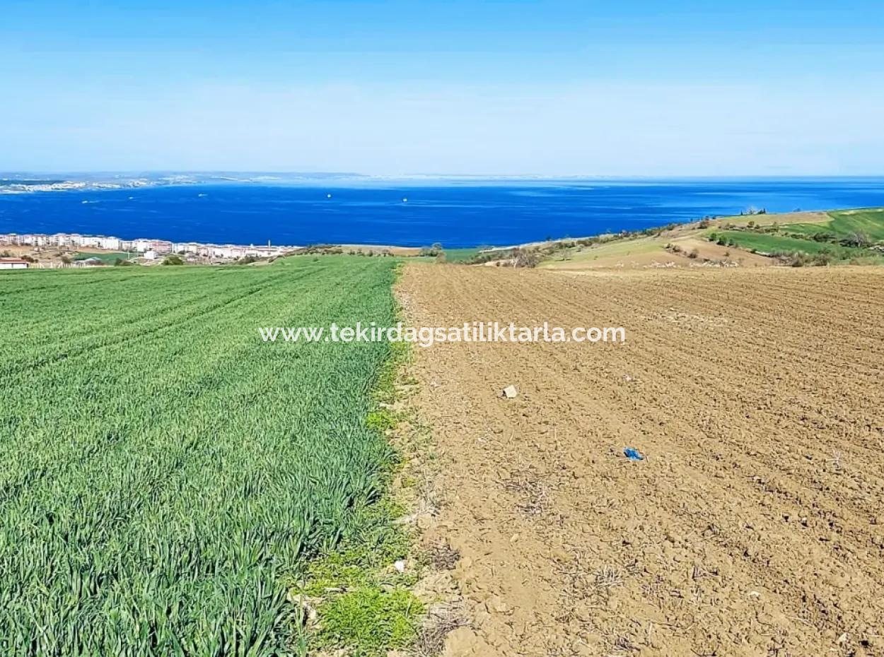 Tekirdağ Barbarosta Lüxs Villa Projeni Yap. Mütahitlere Kat Karşılığı Ver  Yüksek Kazanç Sağla Full Deniz Manzaralı Villa İmarlı Arazi