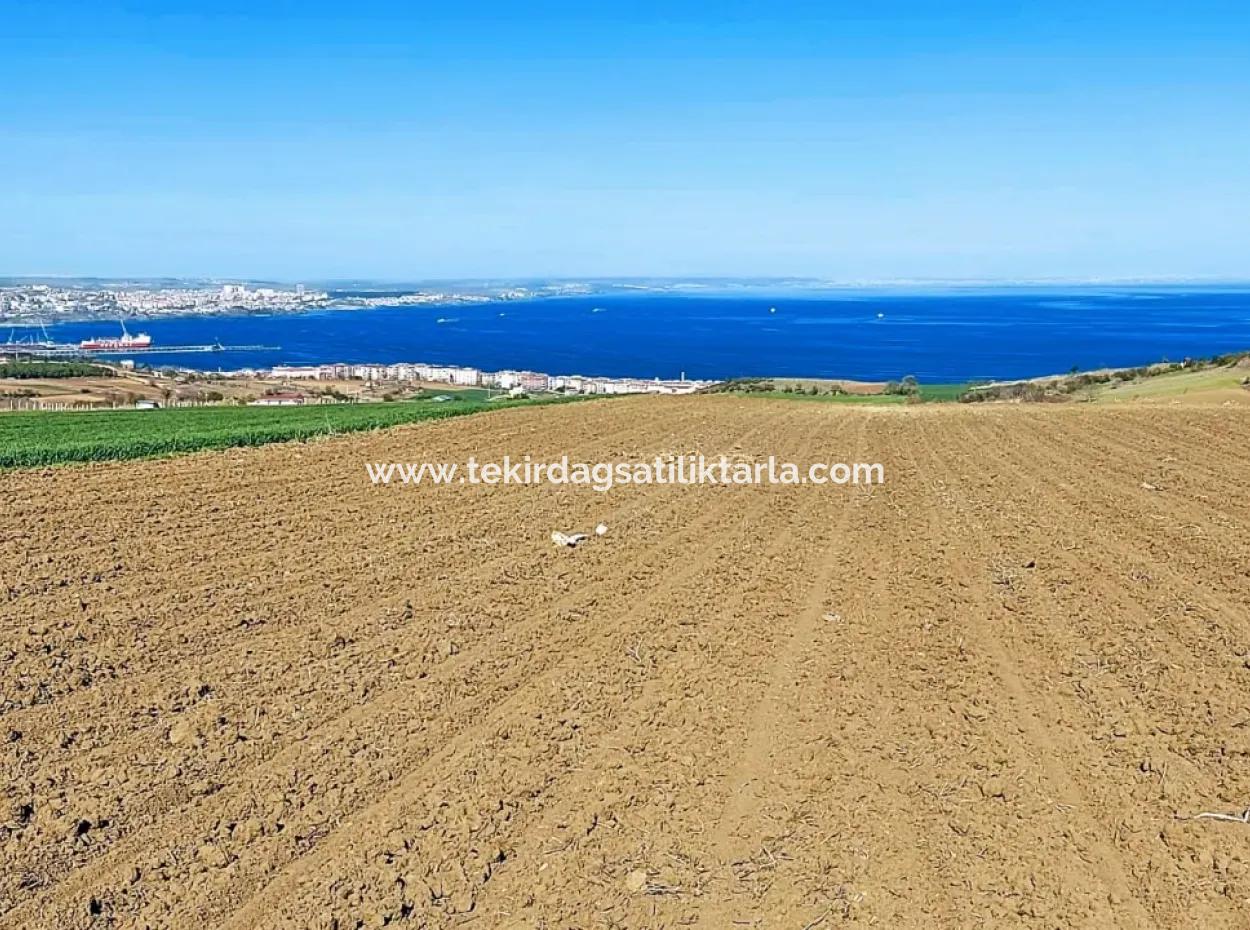 Tekirdağ Barbarosta Lüxs Villa Projeni Yap. Mütahitlere Kat Karşılığı Ver  Yüksek Kazanç Sağla Full Deniz Manzaralı Villa İmarlı Arazi