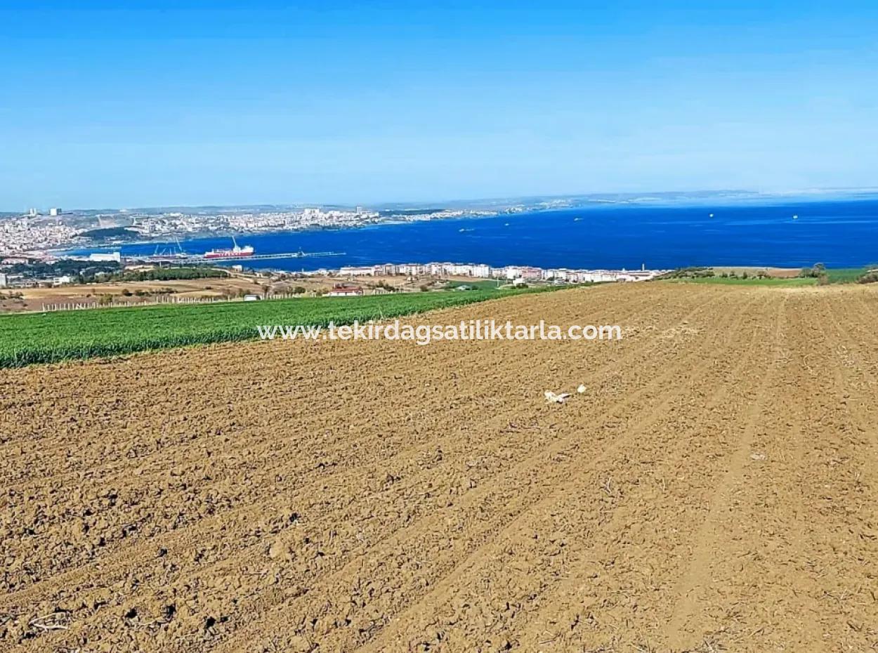 Tekirdağ Barbarosta Lüxs Villa Projeni Yap. Mütahitlere Kat Karşılığı Ver  Yüksek Kazanç Sağla Full Deniz Manzaralı Villa İmarlı Arazi