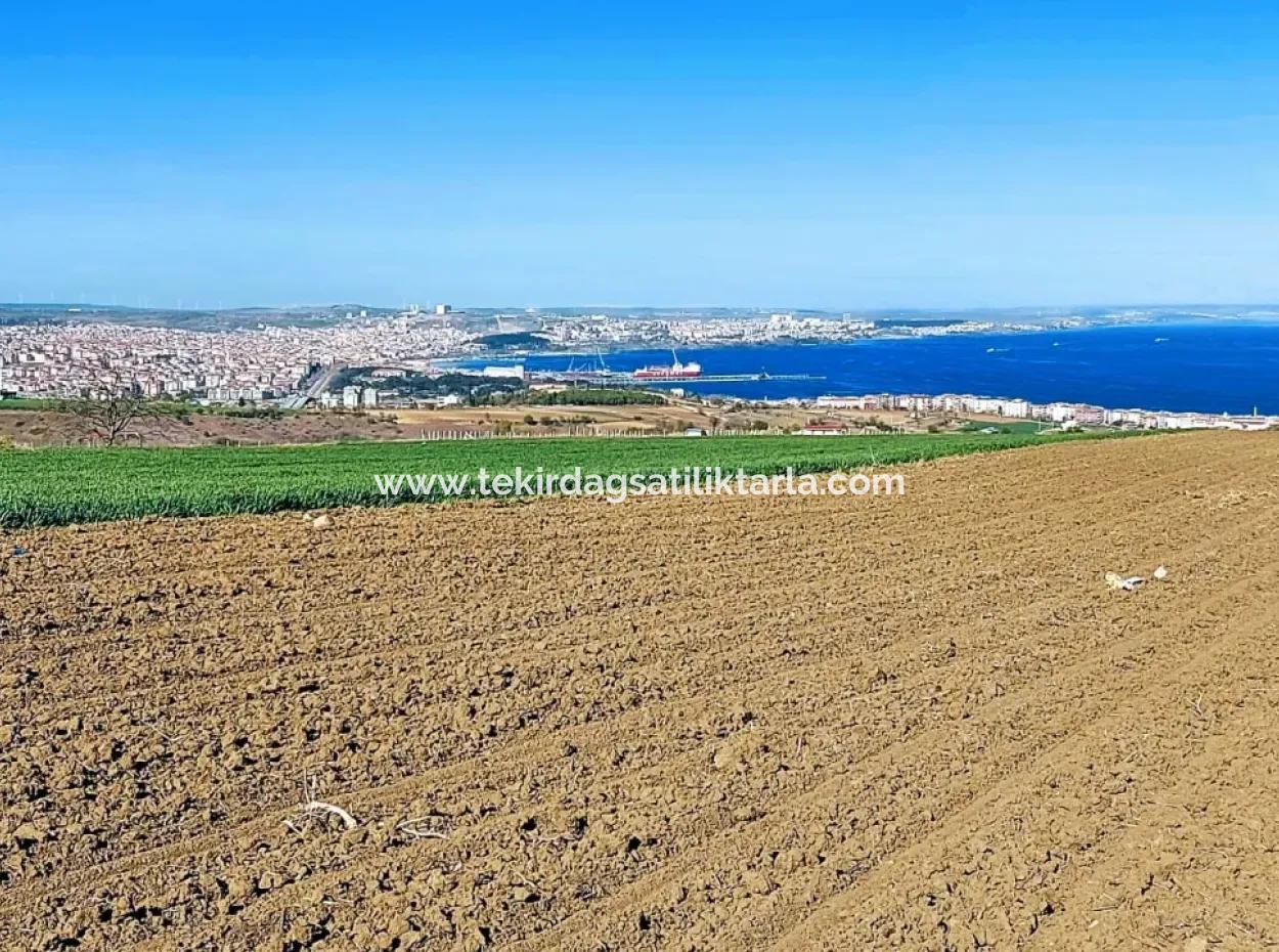 Tekirdağ Barbarosta Lüxs Villa Projeni Yap. Mütahitlere Kat Karşılığı Ver  Yüksek Kazanç Sağla Full Deniz Manzaralı Villa İmarlı Arazi