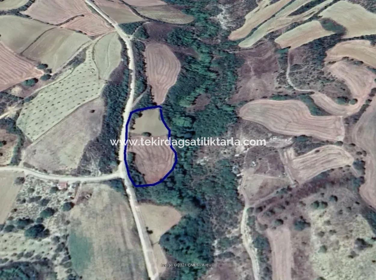 Tekirdağ Süleymanpaşa Yeniköy Mahallesi'nde Bulunan Bu 5.500 Metrekarelik Dere Kenarındaki Tarla