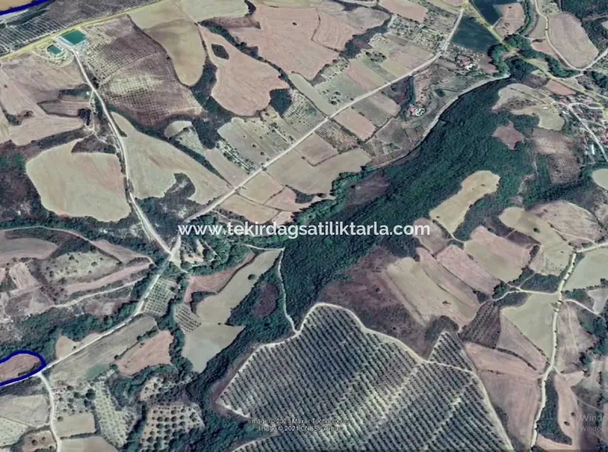 Tekirdağ Süleymanpaşa Yeniköy Mahallesi'nde Bulunan Bu 5.500 Metrekarelik Dere Kenarındaki Tarla
