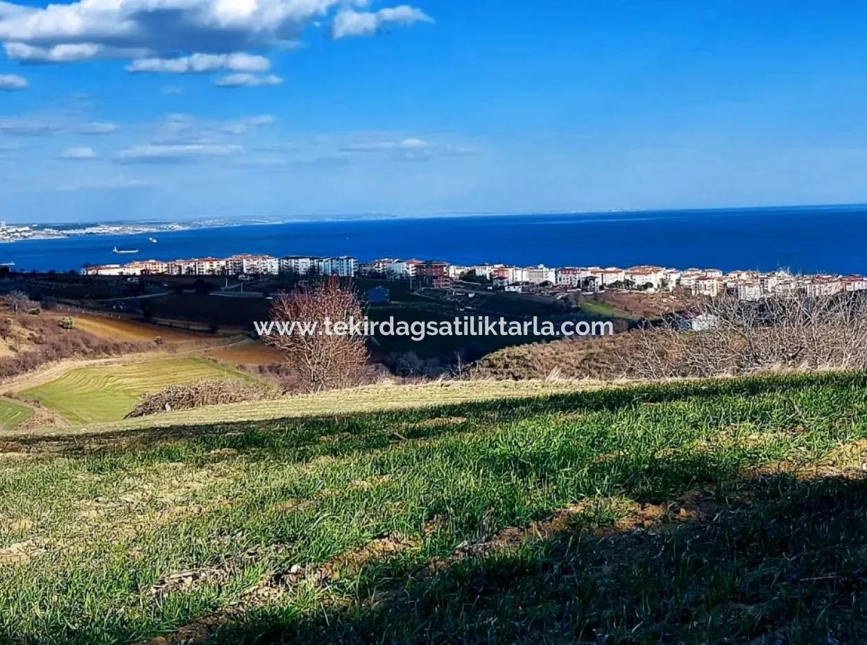 Tekirdağ Süleymanpaşa Barbaros - Topağaç'ta Ramada Hotel'e Yakın 1.150 Metrekarelik Arsa