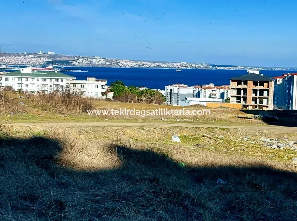 Tekirdağ Topağaç Mahallesinde 9 Kat İmarlı 55 Dairelik Fırsat Kupon Arsa