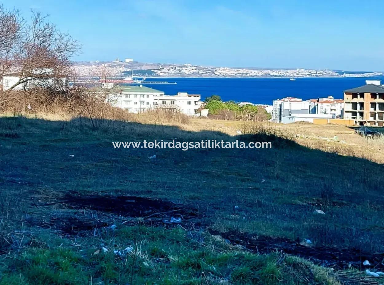 Tekirdağ Topağaç Mahallesinde 9 Kat İmarlı 55 Dairelik Fırsat Kupon Arsa