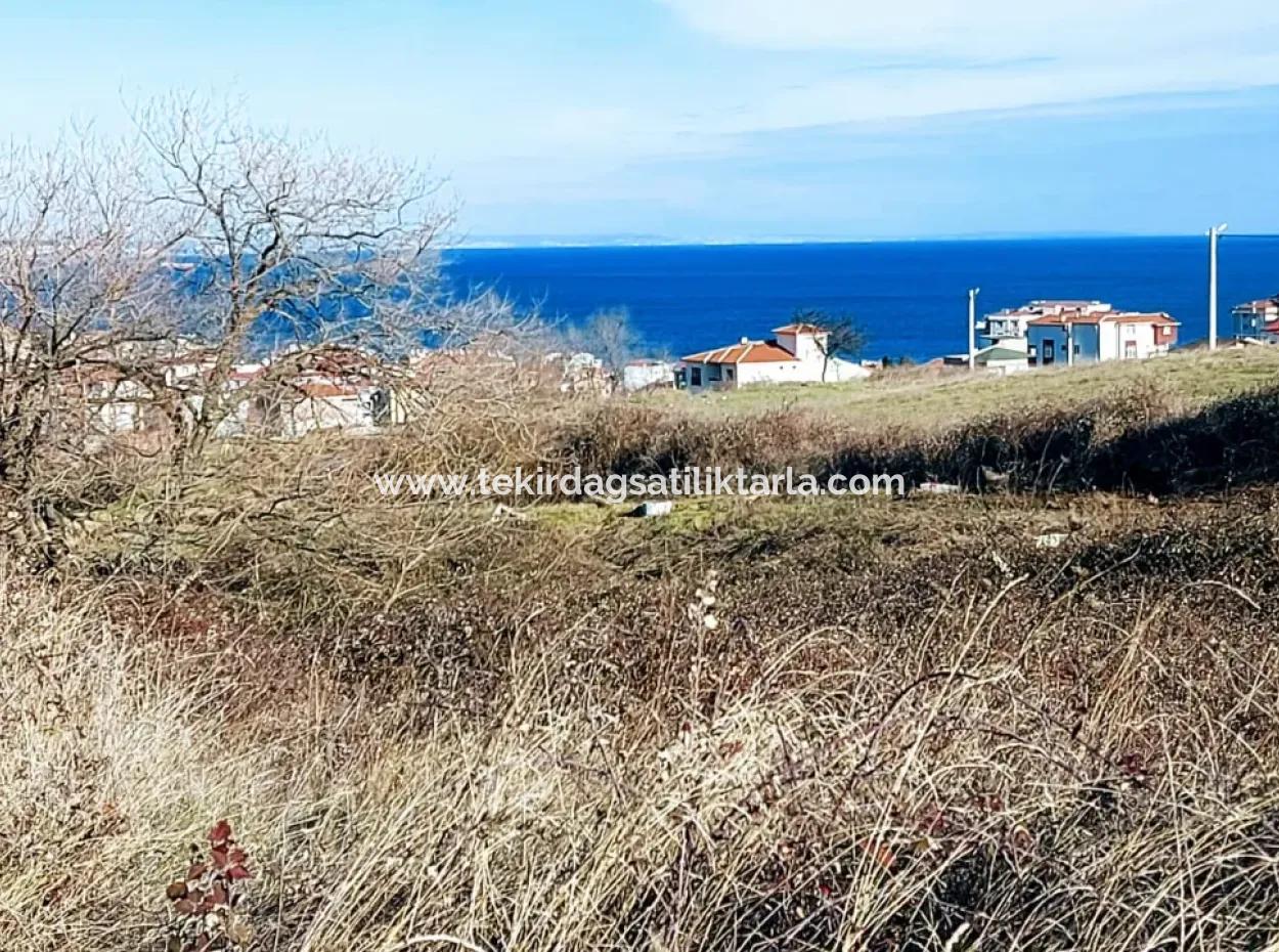 Tekirdağ Topağaç Mahallesinde 30 Dairelik 4 Kat İmarlı Fırsat Arsa