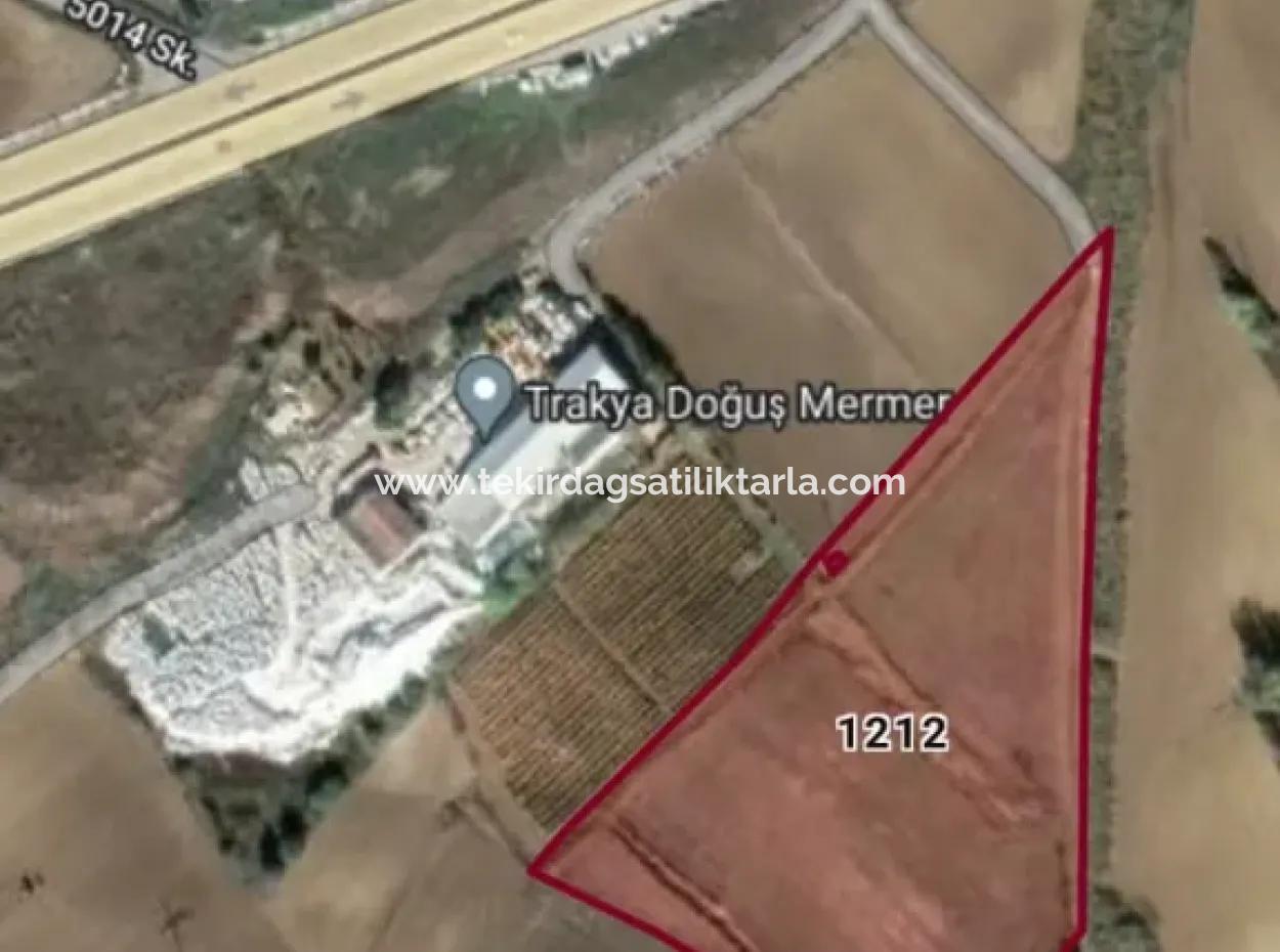 Tekirdağ'ın Nusuratlı Mevkisinde 19.500 Metrekarelik Ticari Ve Sanayi Alanında Satılık Tarla