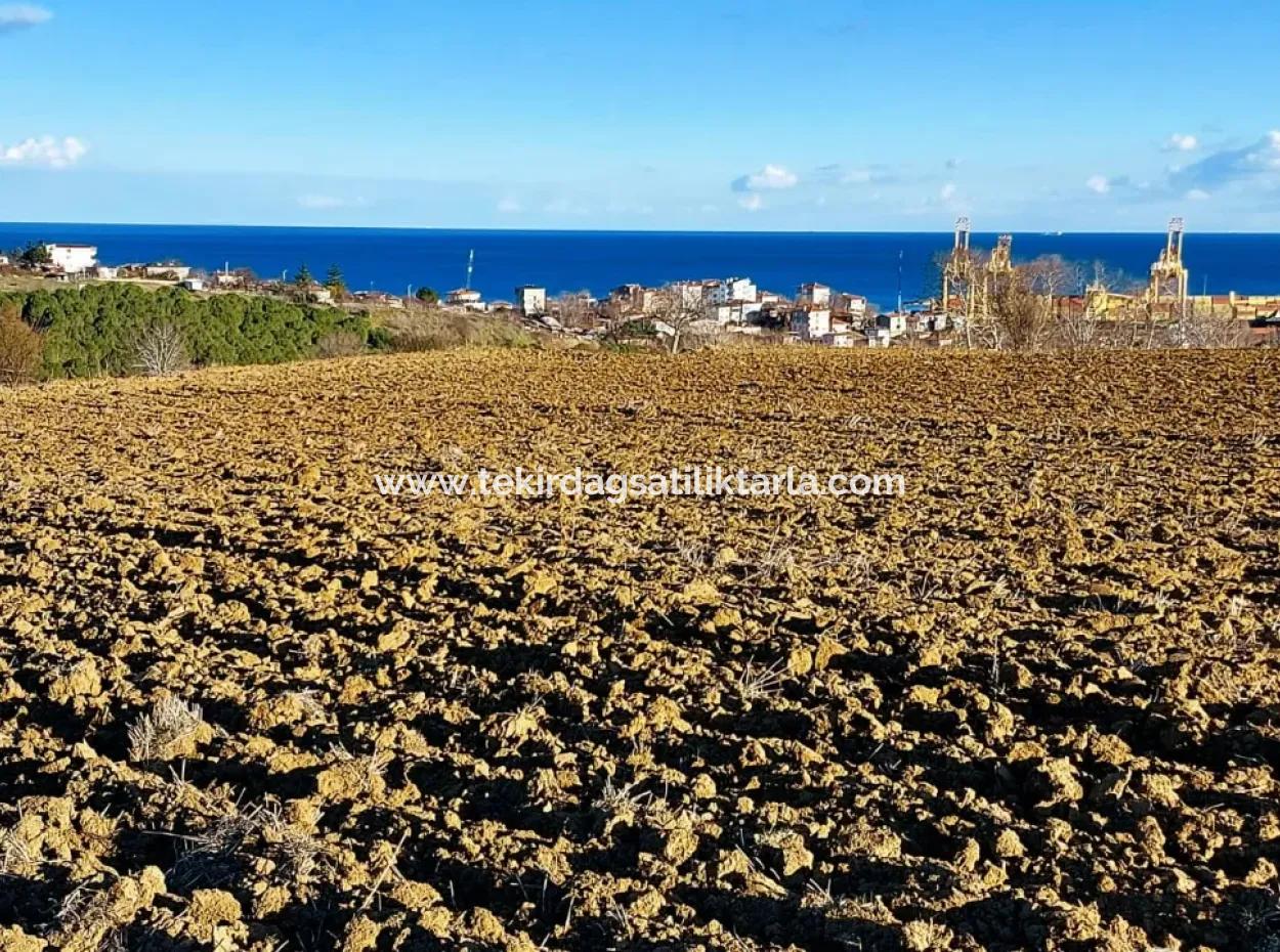 Tekirdağ'ın Süleymanpaşa Barbaros Mevkisinde Bulunan Eşsiz 17.800 M2 Konut İmarlı Arsa