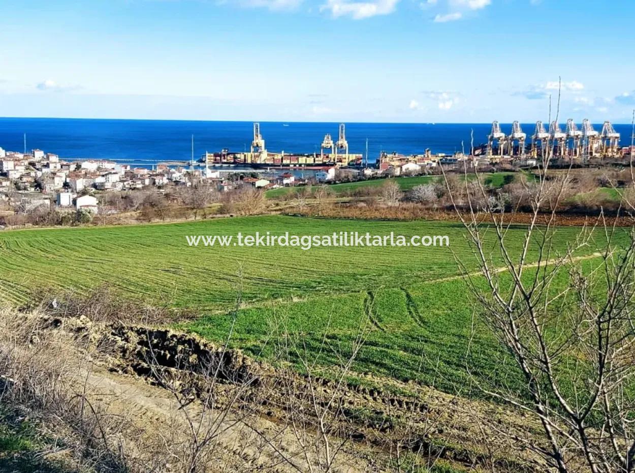 Tekirdağ Barbaros Asyaport Limanına Yakın 17 980 M2 Satılık Tarla