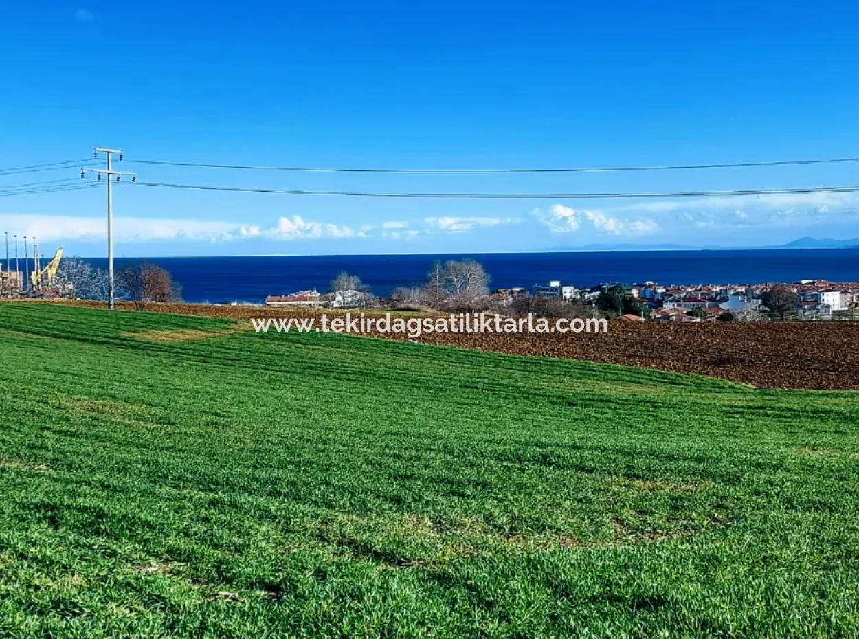 Tekirdağ Süleymanpaşa Barbaros'ta Bulunan Bu 11.100 M2 Konut İmarlı Arazi, Harika Bir Konumda Yer Alıyor.