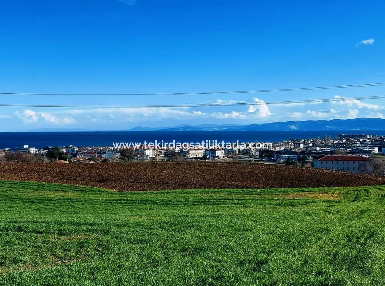 Tekirdağ Süleymanpaşa Barbaros'ta Bulunan Bu 11.100 M2 Konut İmarlı Arazi, Harika Bir Konumda Yer Alıyor.