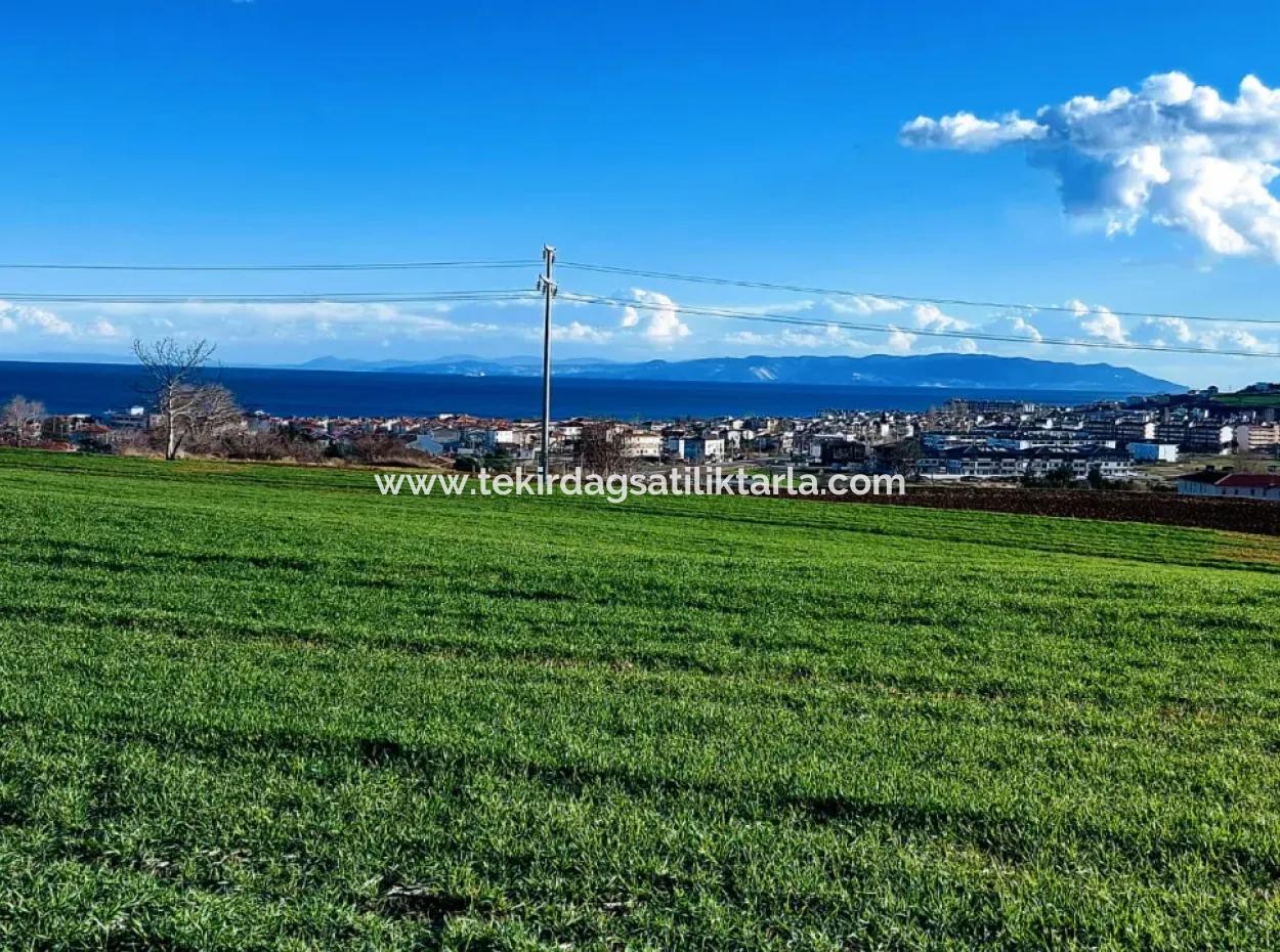 Tekirdağ Süleymanpaşa Barbaros'ta Bulunan Bu 11.100 M2 Konut İmarlı Arazi, Harika Bir Konumda Yer Alıyor.