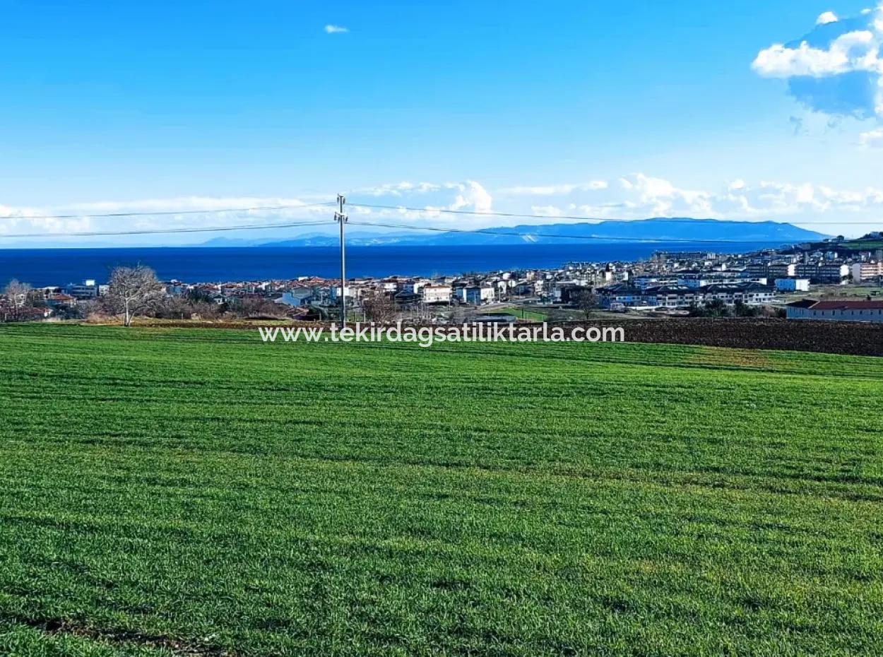 Tekirdağ Süleymanpaşa Barbaros'ta Bulunan Bu 11.100 M2 Konut İmarlı Arazi, Harika Bir Konumda Yer Alıyor.