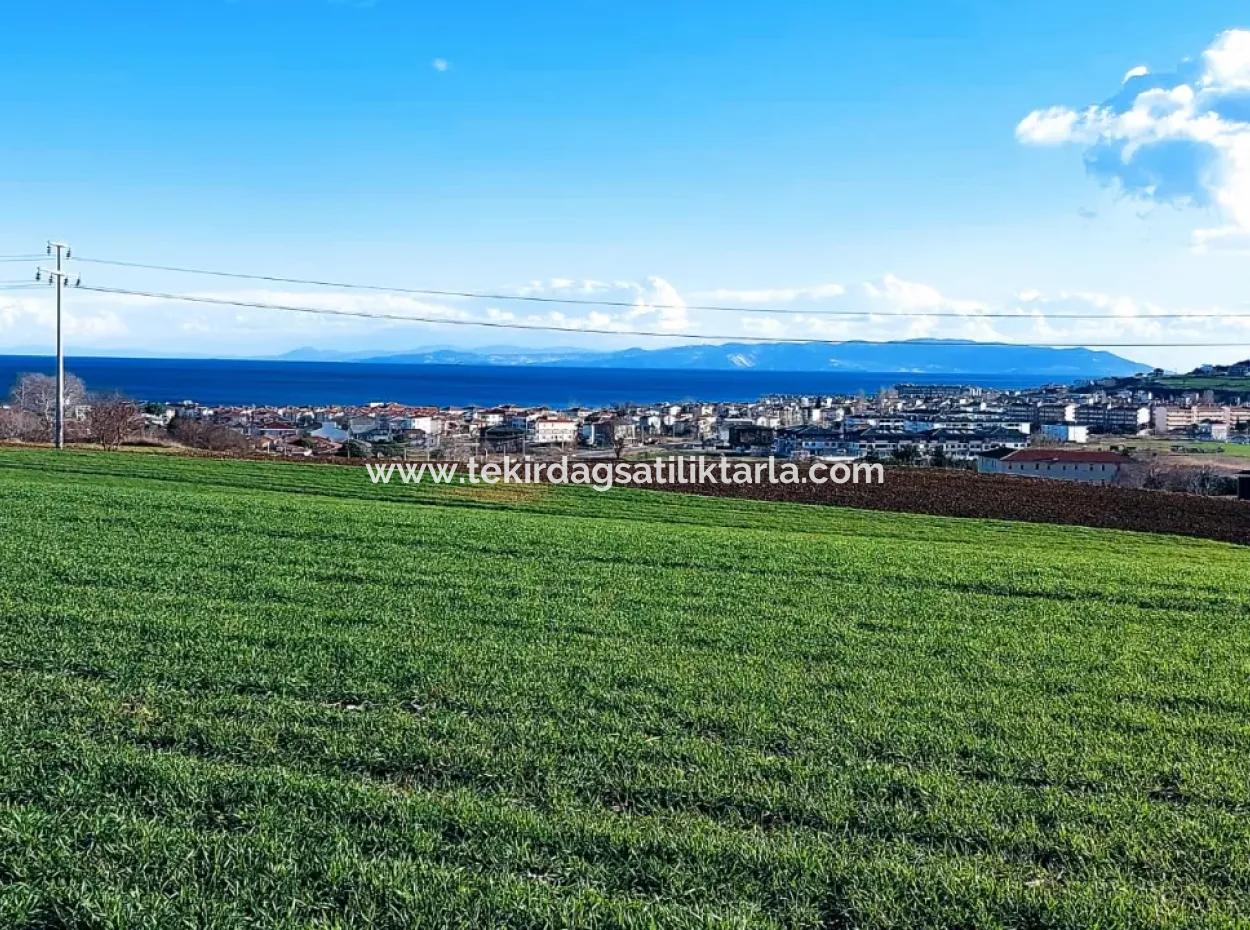 Tekirdağ Süleymanpaşa Barbaros'ta Bulunan Bu 11.100 M2 Konut İmarlı Arazi, Harika Bir Konumda Yer Alıyor.