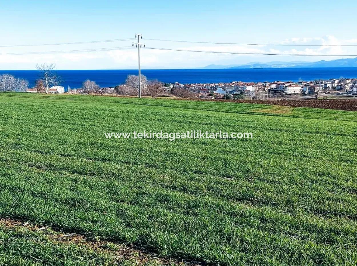 Tekirdağ Süleymanpaşa Barbaros'ta Bulunan Bu 11.100 M2 Konut İmarlı Arazi, Harika Bir Konumda Yer Alıyor.