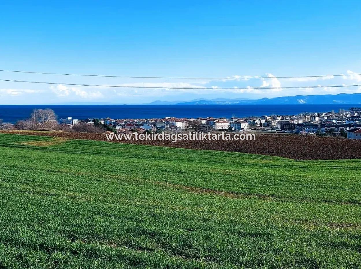 Tekirdağ Süleymanpaşa Barbaros'ta Bulunan Bu 11.100 M2 Konut İmarlı Arazi, Harika Bir Konumda Yer Alıyor.