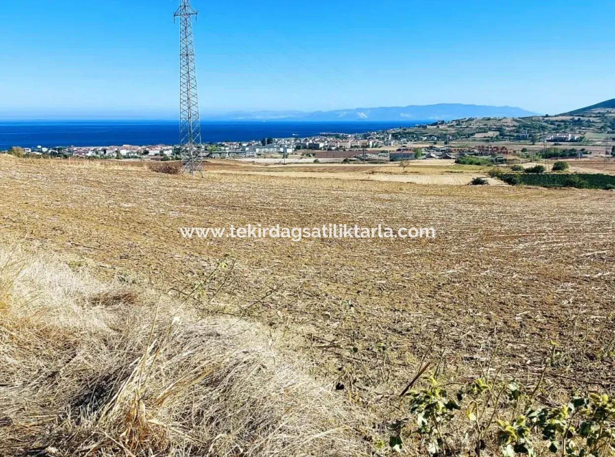 Tekirdağ Barbaros'ta Bulunan 21,900 M2 Arsa, Asyaport Limanı Mevcut İmar Planı İçinde Yer Almaktadır