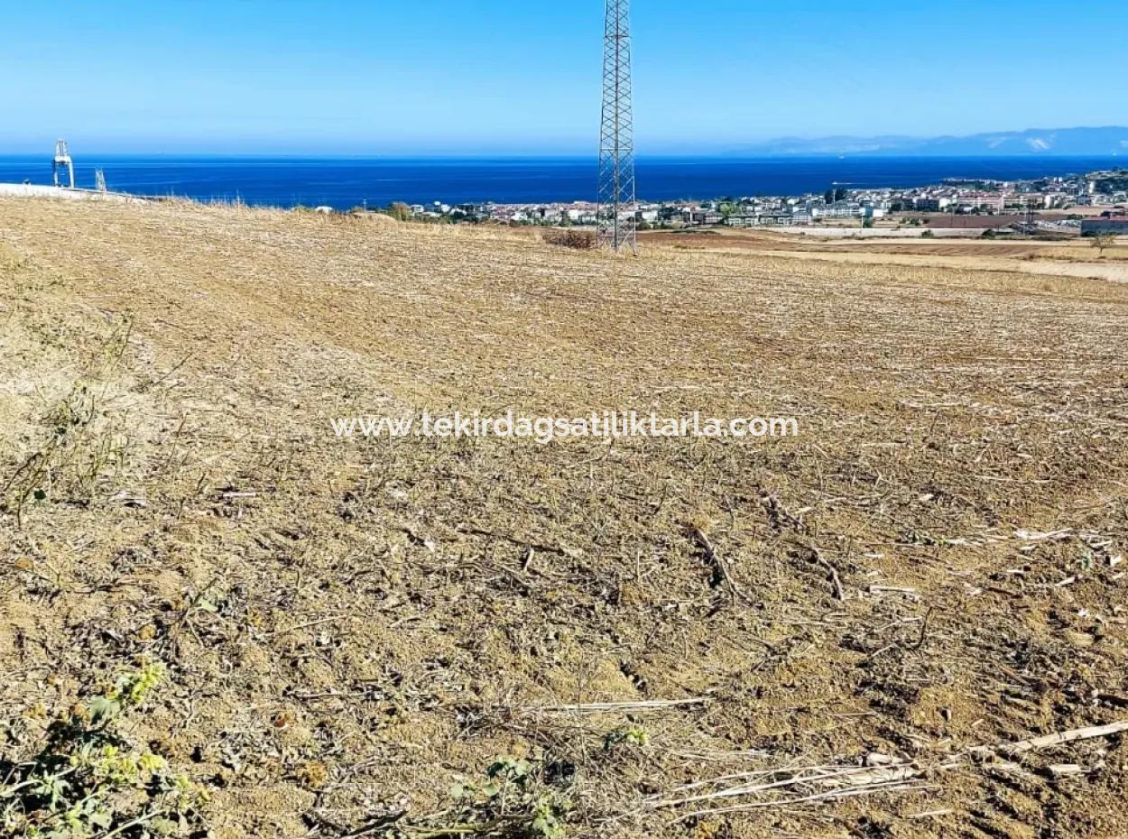 Tekirdağ Barbaros'ta Bulunan 21,900 M2 Arsa, Asyaport Limanı Mevcut İmar Planı İçinde Yer Almaktadır